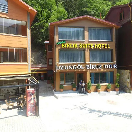 Birlik Süite