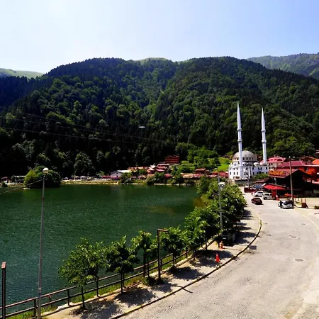 Hotel Birlik Sueite *